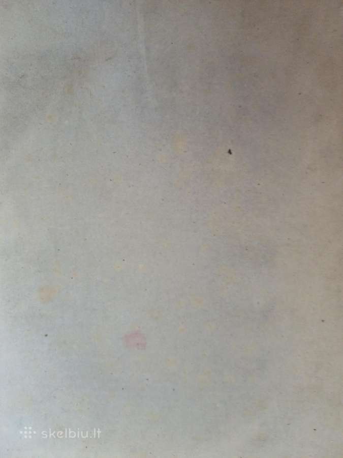 Parduodu knyga,1867.вильна. - nuotraukos Nr. 4