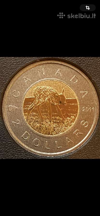 Monetu rinkinys Canada 2011m. Proof cu-ni