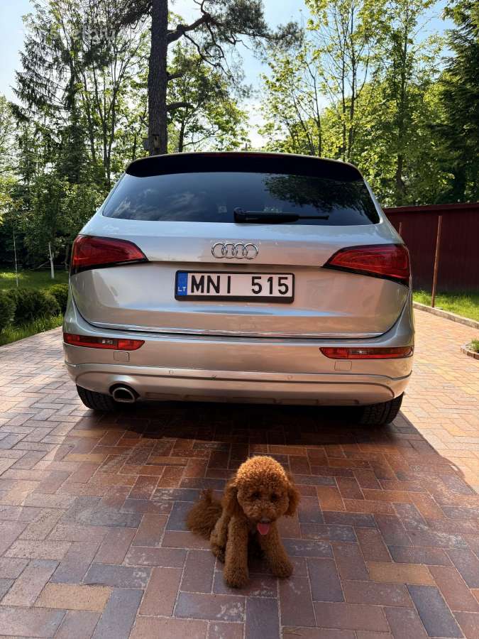 Audi Q5 2,0 l. (Beige) - nuotraukos Nr. 4