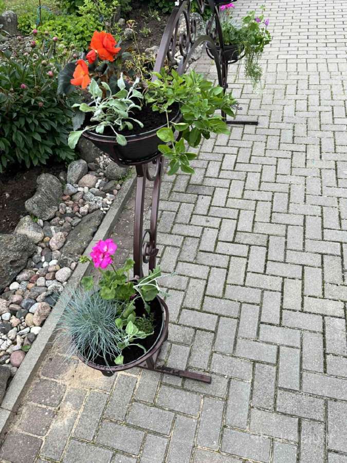 Stovas gėlėms lauke Geliu medis Arka Gėlių Stovas - nuotraukos Nr. 15