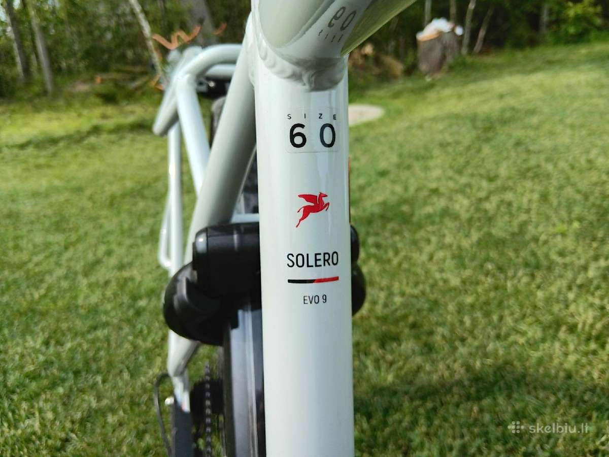 Pegasus Solero EVO-9 XL - nuotraukos Nr. 3