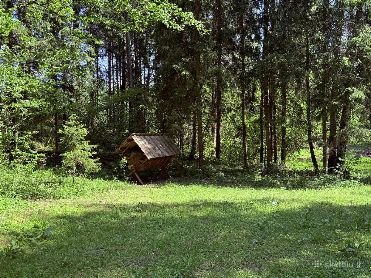 Sodybos nuoma Avietynės Sodyba - nuotraukos Nr. 27