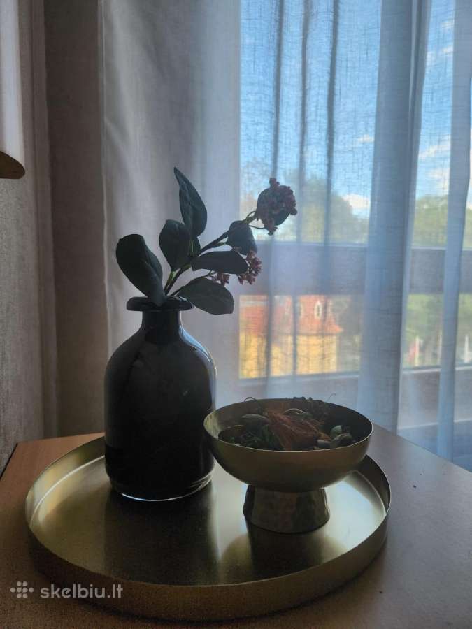 Apartamentų nuoma Druskininkuose - nuotraukos Nr. 3