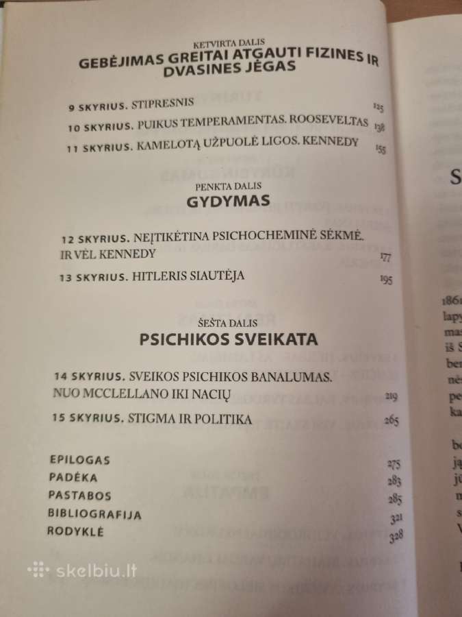 Nuo beprotystės iki lyderystės - nuotraukos Nr. 4
