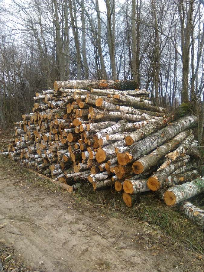 Sausos Malkos Alksnio, Juodalksnio, Beržo. - nuotraukos Nr. 15