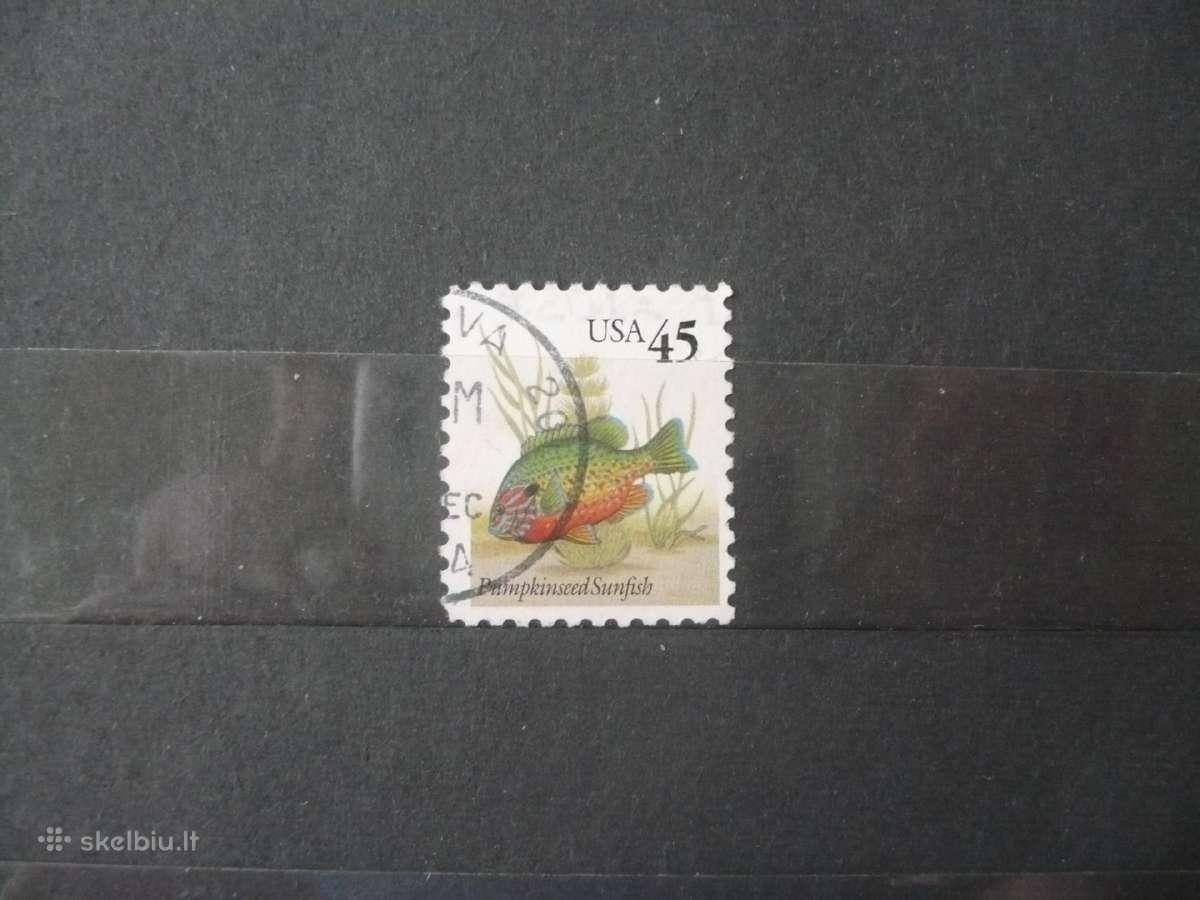 1992 m. Žuvis – moliūgų saulėžuvė