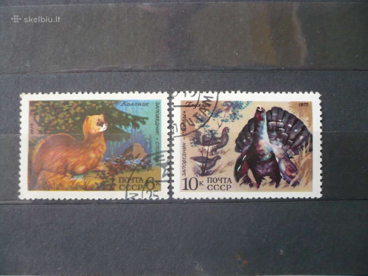 1975 Gyvūnai