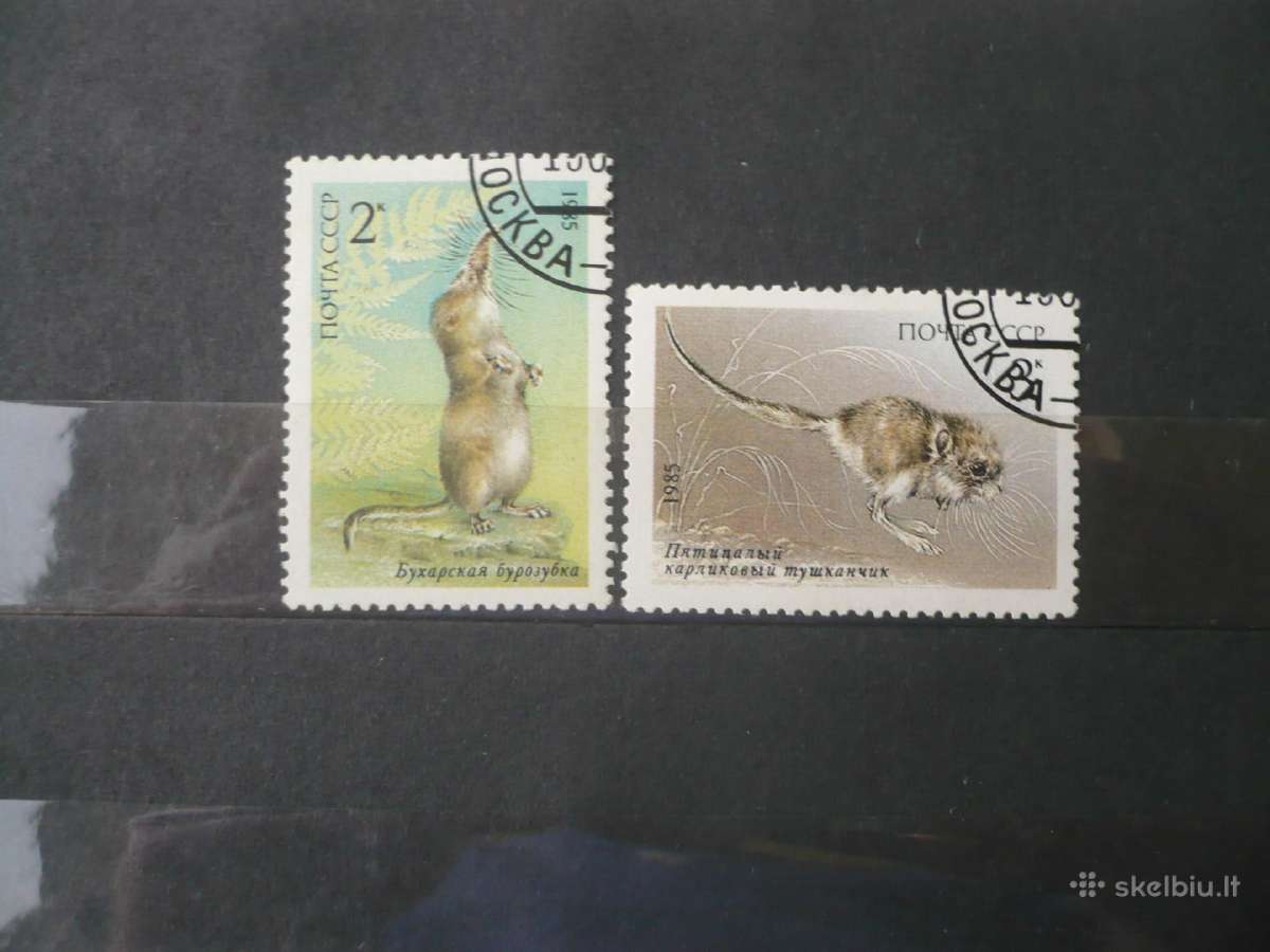 1985 Saugomi gyvūnai