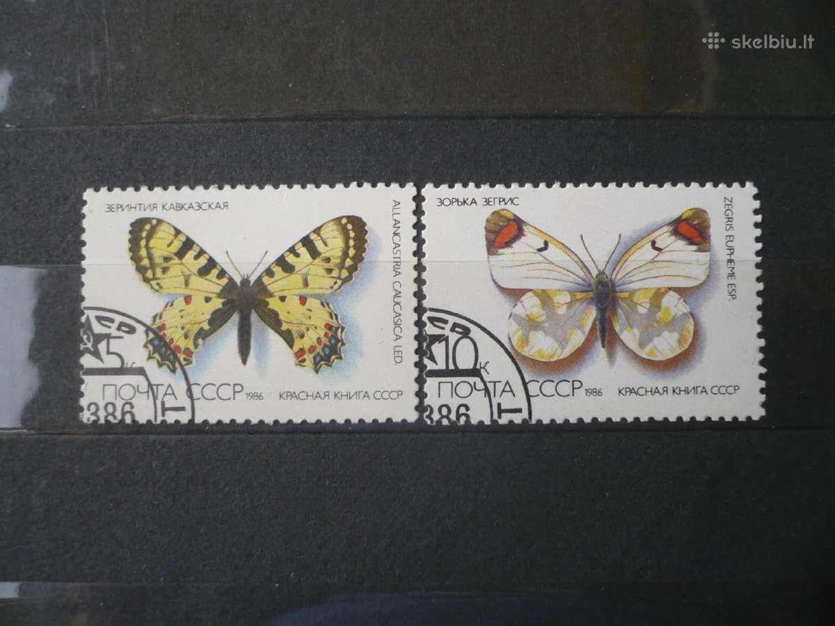 1986 Drugeliai ir kandys