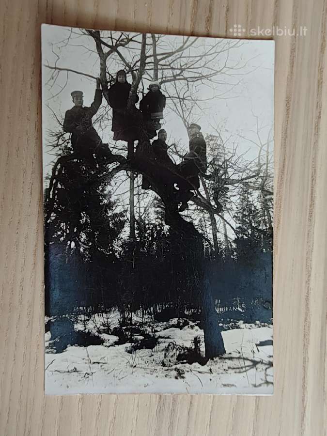 Lietuvos kariai su moterimis medyje 1928