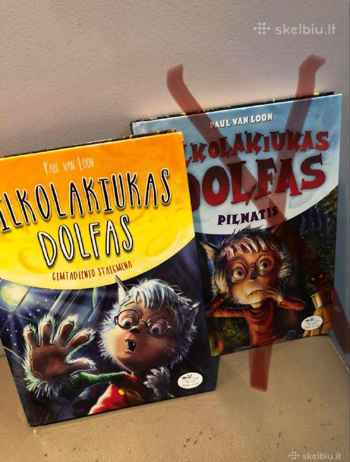 Knyga paaugliams