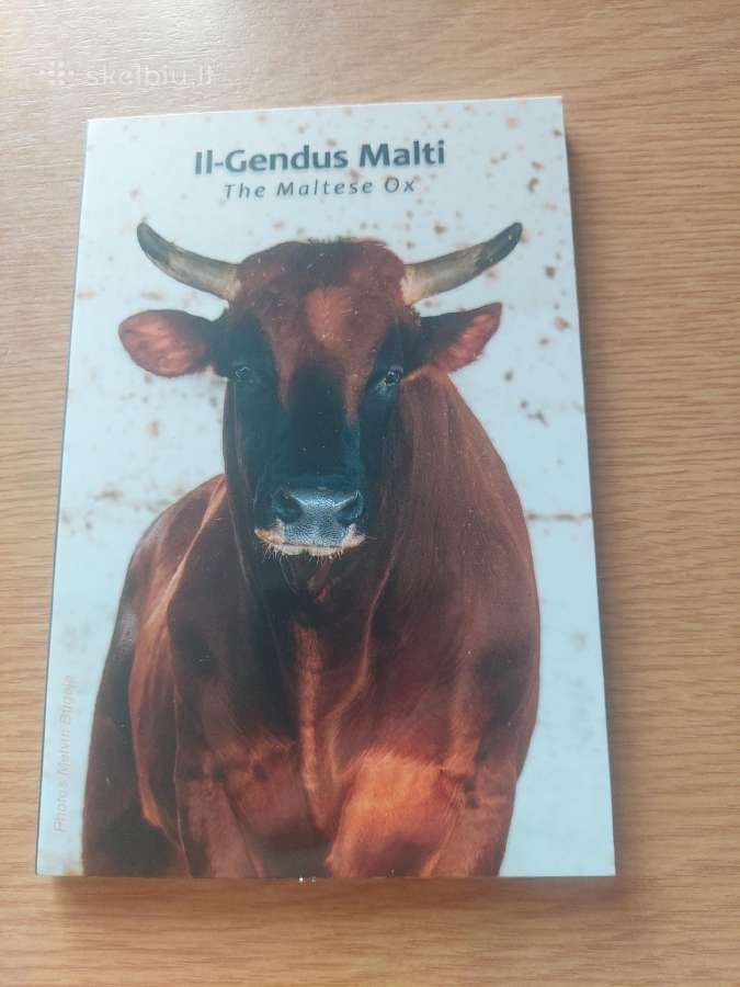 Malta 2025 m