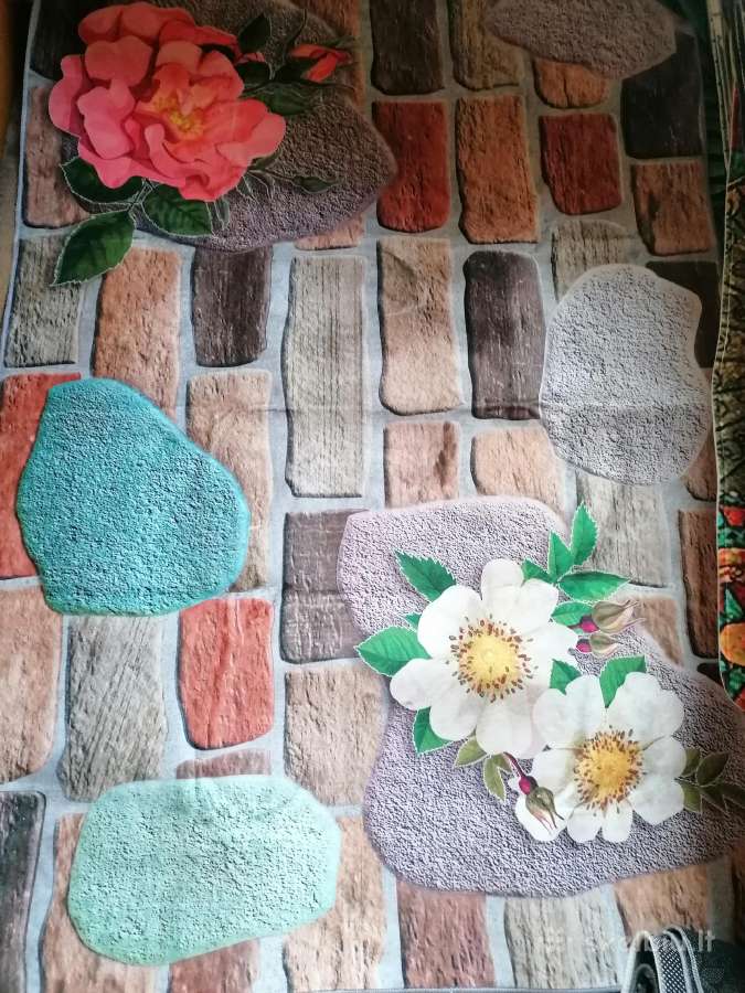 Nauji kilimukai - nuotraukos Nr. 7