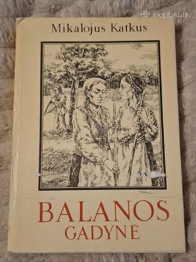 Klasika - nuotraukos Nr. 3