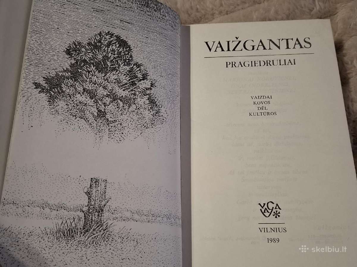 Klasika - nuotraukos Nr. 6