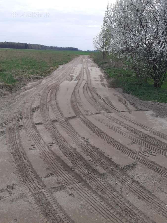 Sklypai gyvenamųjų namų statybai - nuotraukos Nr. 2