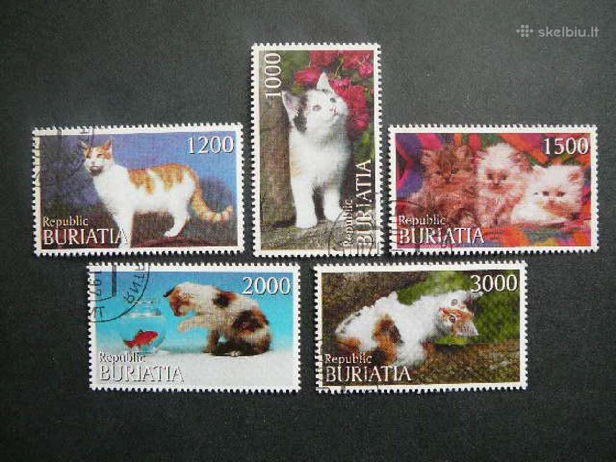 Kates Buriatija 2000 antsp. br224