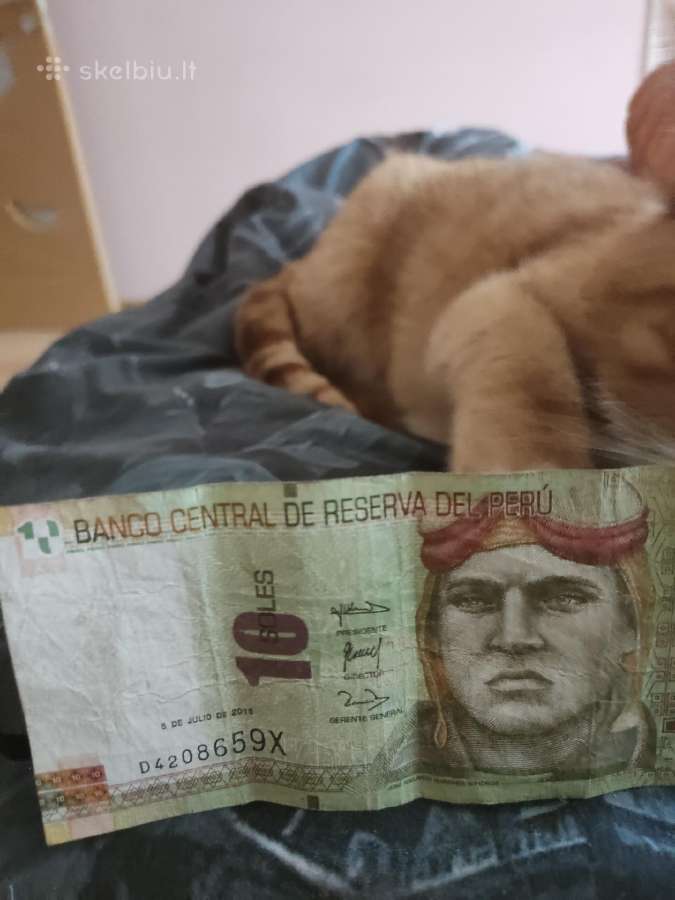 Peru banknotas