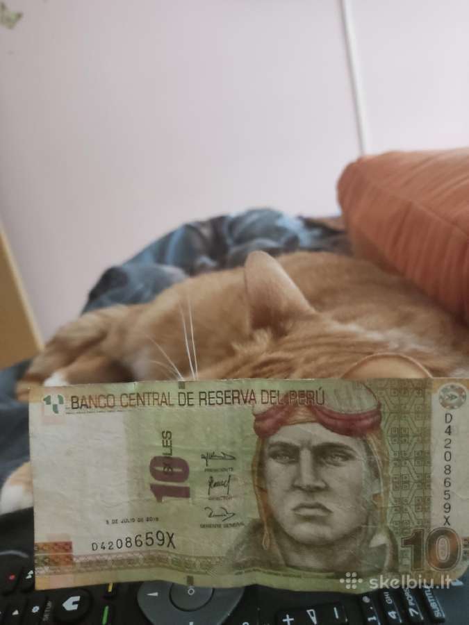 Peru banknotas - nuotraukos Nr. 2
