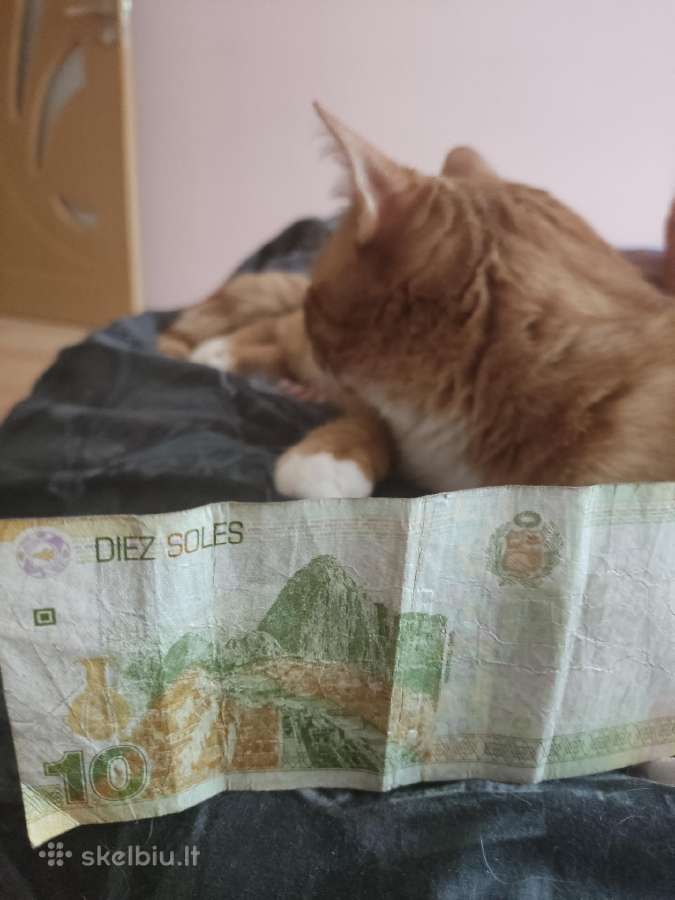Peru banknotas - nuotraukos Nr. 3