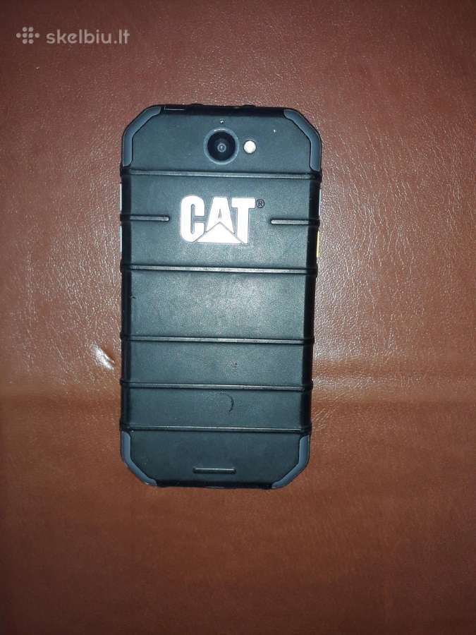 Cat - nuotraukos Nr. 2