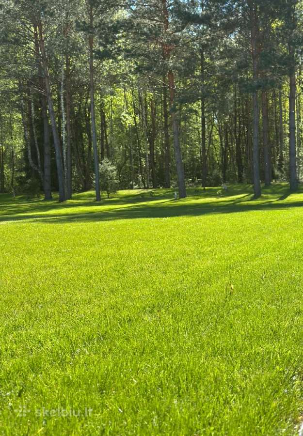 Apleistų sklypų frezavimas, kelmų naikinimas - nuotraukos Nr. 14