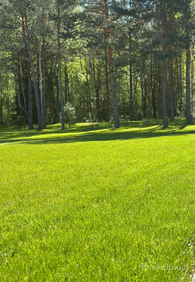 Vejos įrengimas / Apleistų sklypų frezavimas - nuotraukos Nr. 8