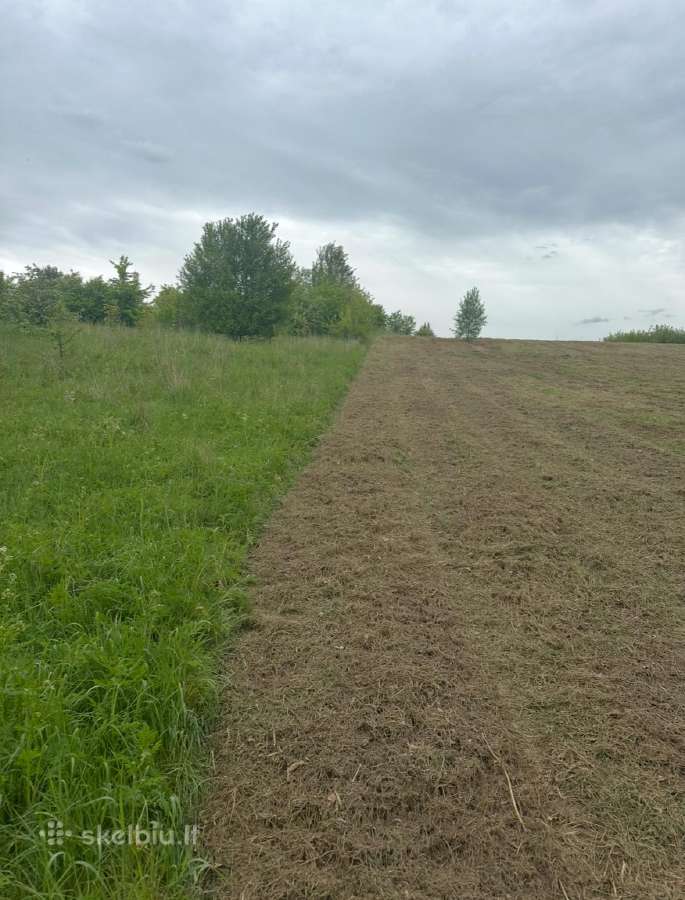 Vejos įrengimas / Apleistų sklypų frezavimas - nuotraukos Nr. 6