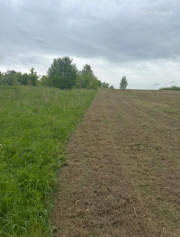 Žolės pjovimas / frezavimas / vejos įrengimas - nuotraukos Nr. 6