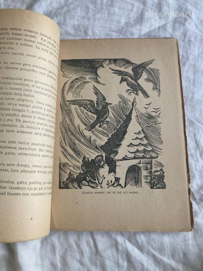 Cvirka Cukriniai avinėliai 1947 m - nuotraukos Nr. 3