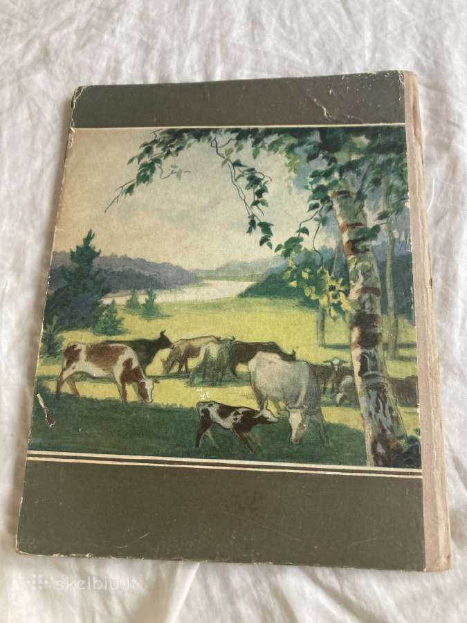 Cvirka Cukriniai avinėliai 1952 m. - nuotraukos Nr. 5