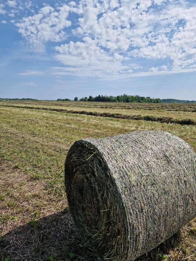 Šienainio rulonai 2025 metų - nuotraukos Nr. 5