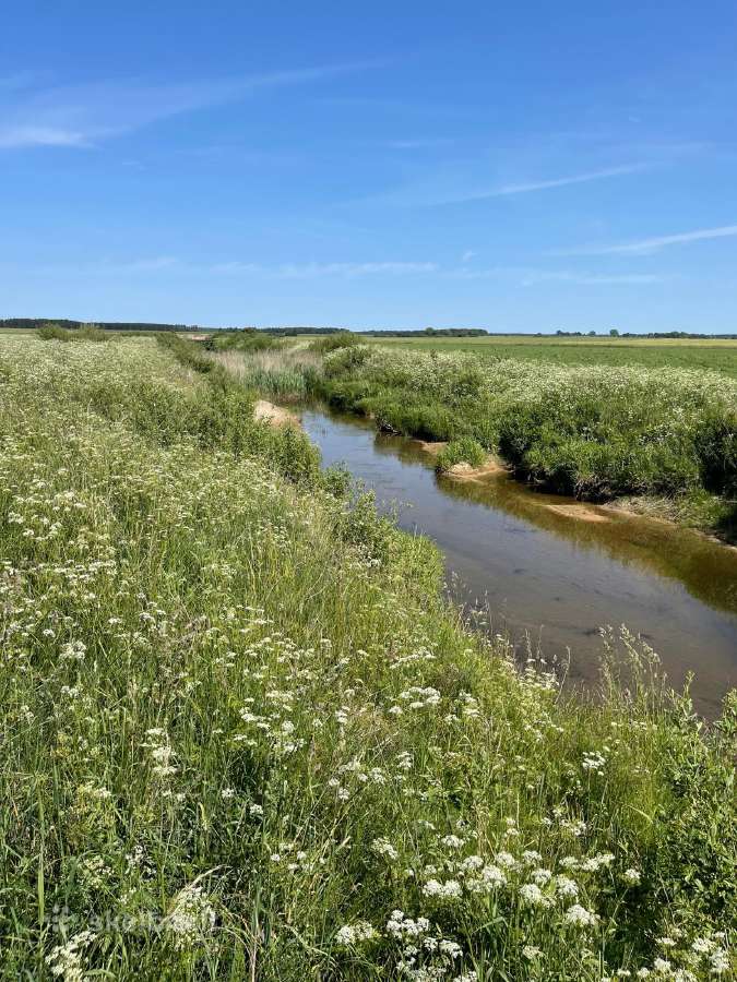 2,25 ha žemės sklypas netoli Šventosios - nuotraukos Nr. 2