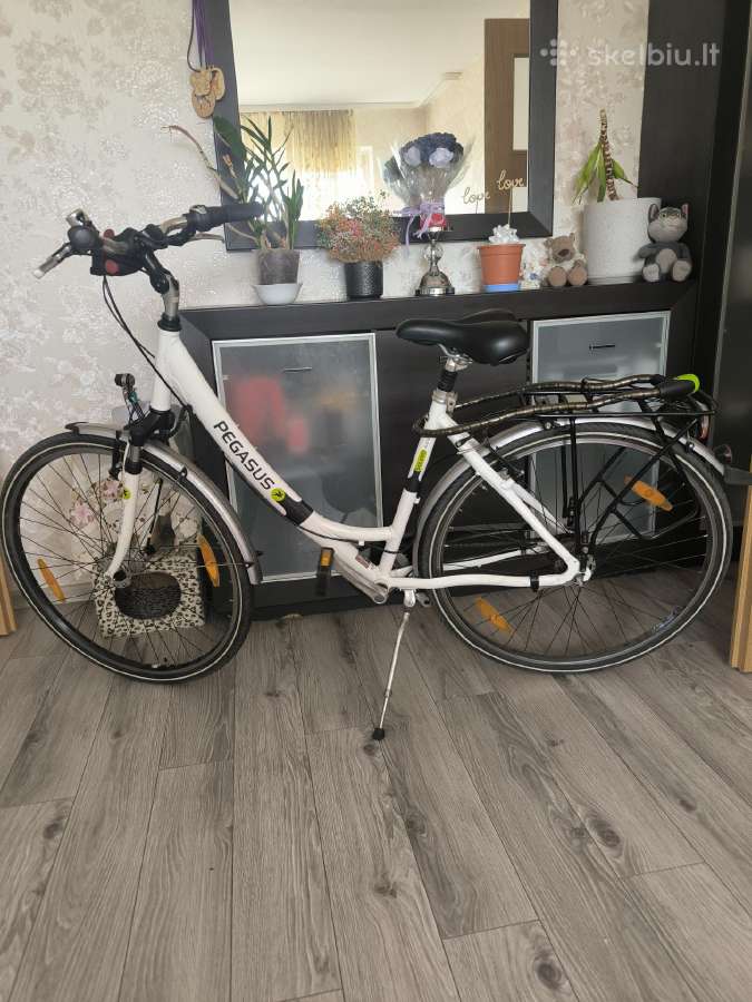 Pegasus solero alu light
