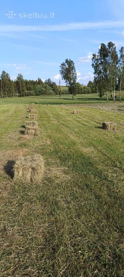Šienas