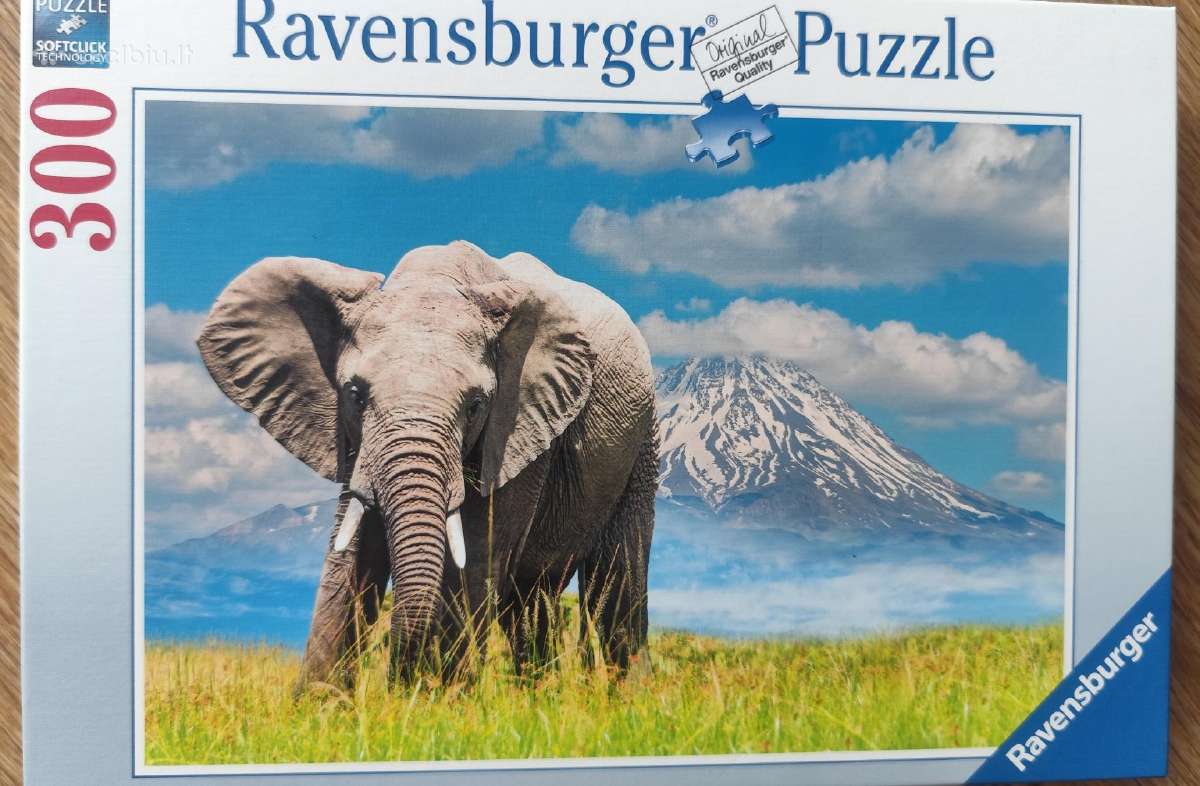 Dėlionės puzlės puzzle - nuotraukos Nr. 24