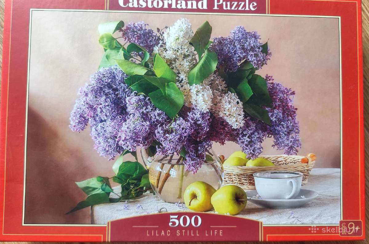 Dėlionės puzlės puzzle - nuotraukos Nr. 30
