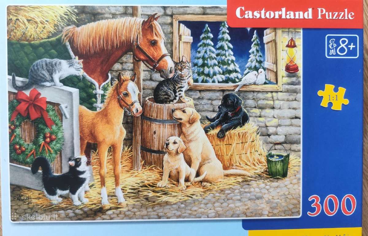 Dėlionės puzlės puzzle - nuotraukos Nr. 31