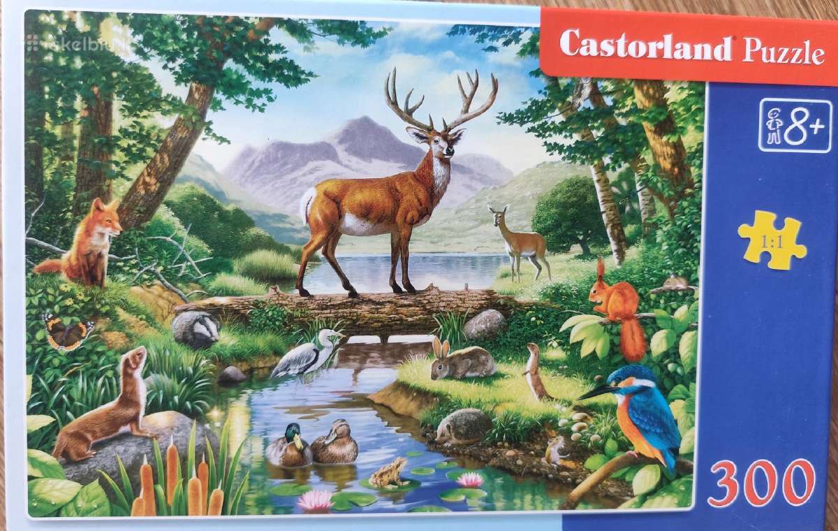 Dėlionės puzlės puzzle - nuotraukos Nr. 32