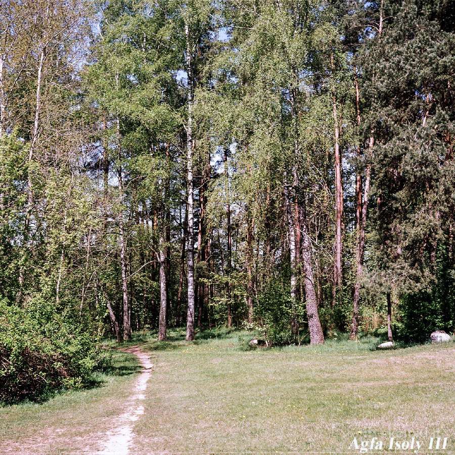 Agfa Isoly III: 44 klasika - nuotraukos Nr. 4