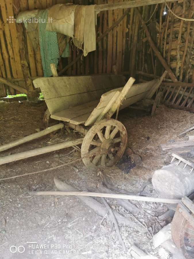 Arklinis vėžimas
