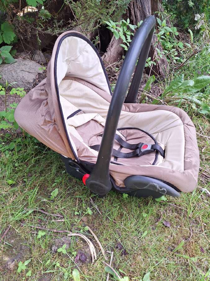 Ruda autokėdutė