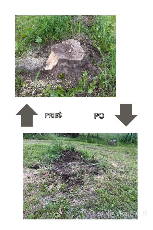 Kelmų frezavimas, šakų smulkintuvo nuoma - nuotraukos Nr. 2