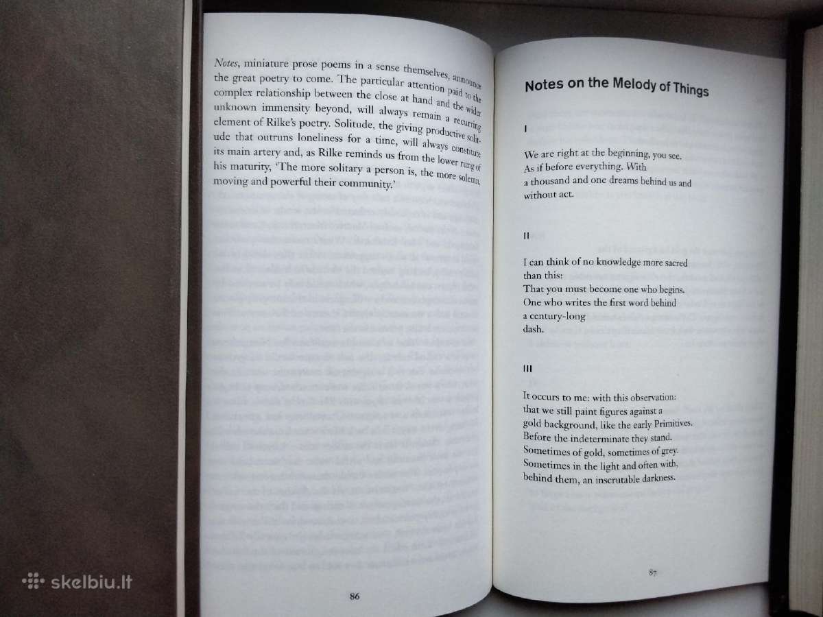 Rilke in Paris - nuotraukos Nr. 8