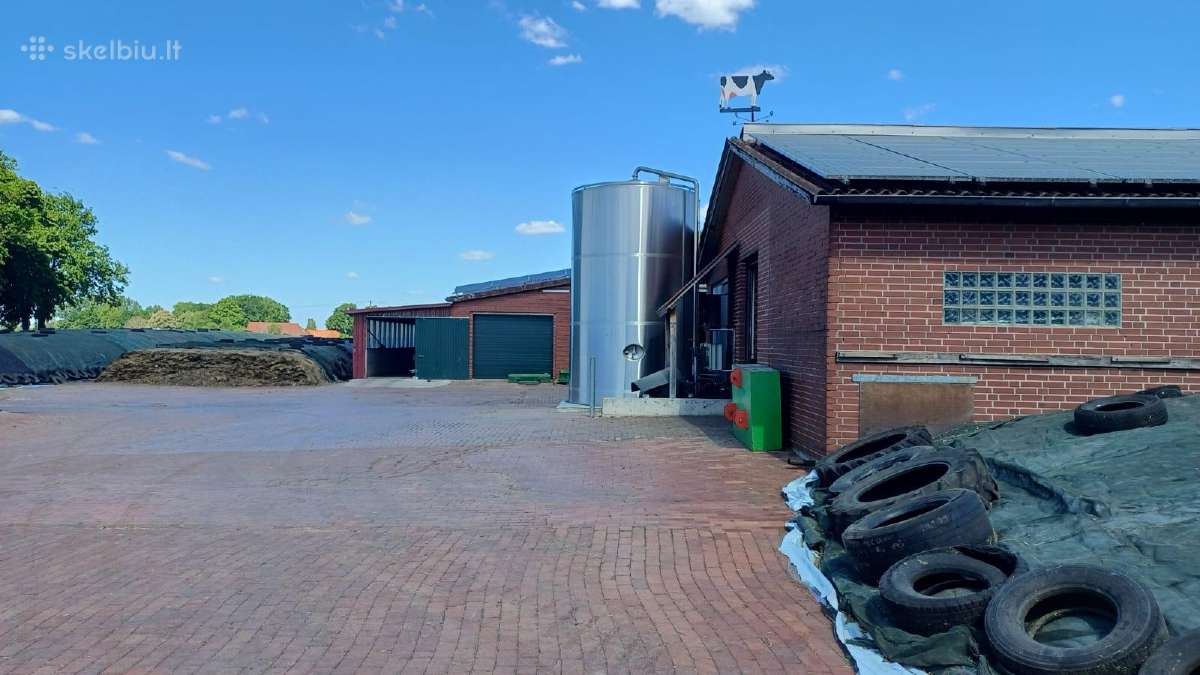 Darbas Vokietijoje melžiant karves 2400–3230 € - nuotraukos Nr. 6