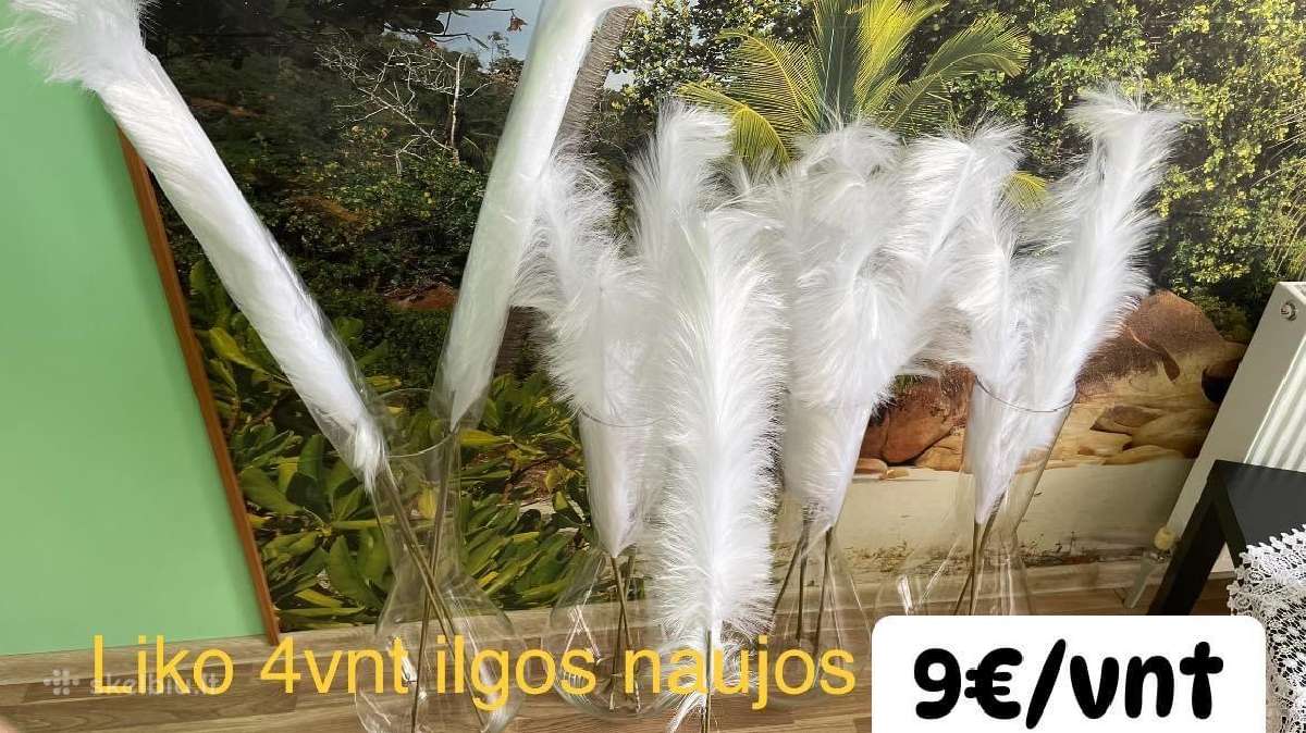 Ilgos baltos plunksnos 4vnt