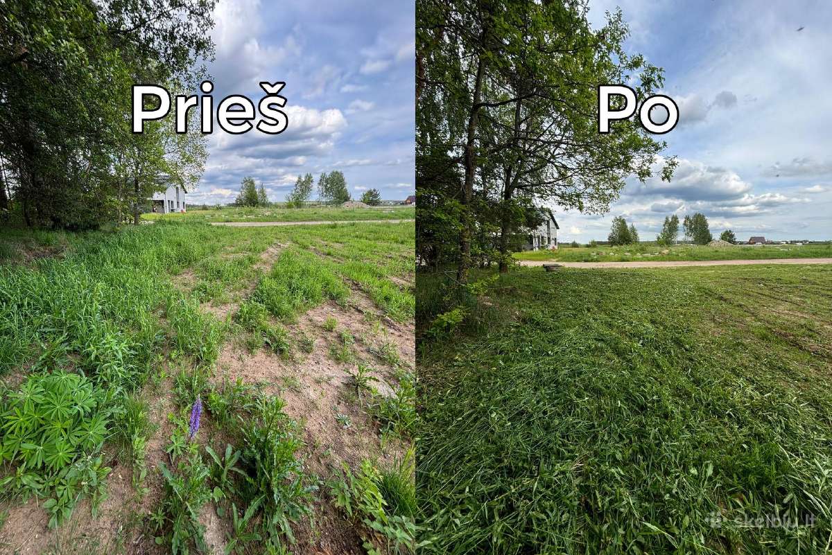 Žolės pjovimas Vilniuje ir Vilniaus rajone - nuotraukos Nr. 12