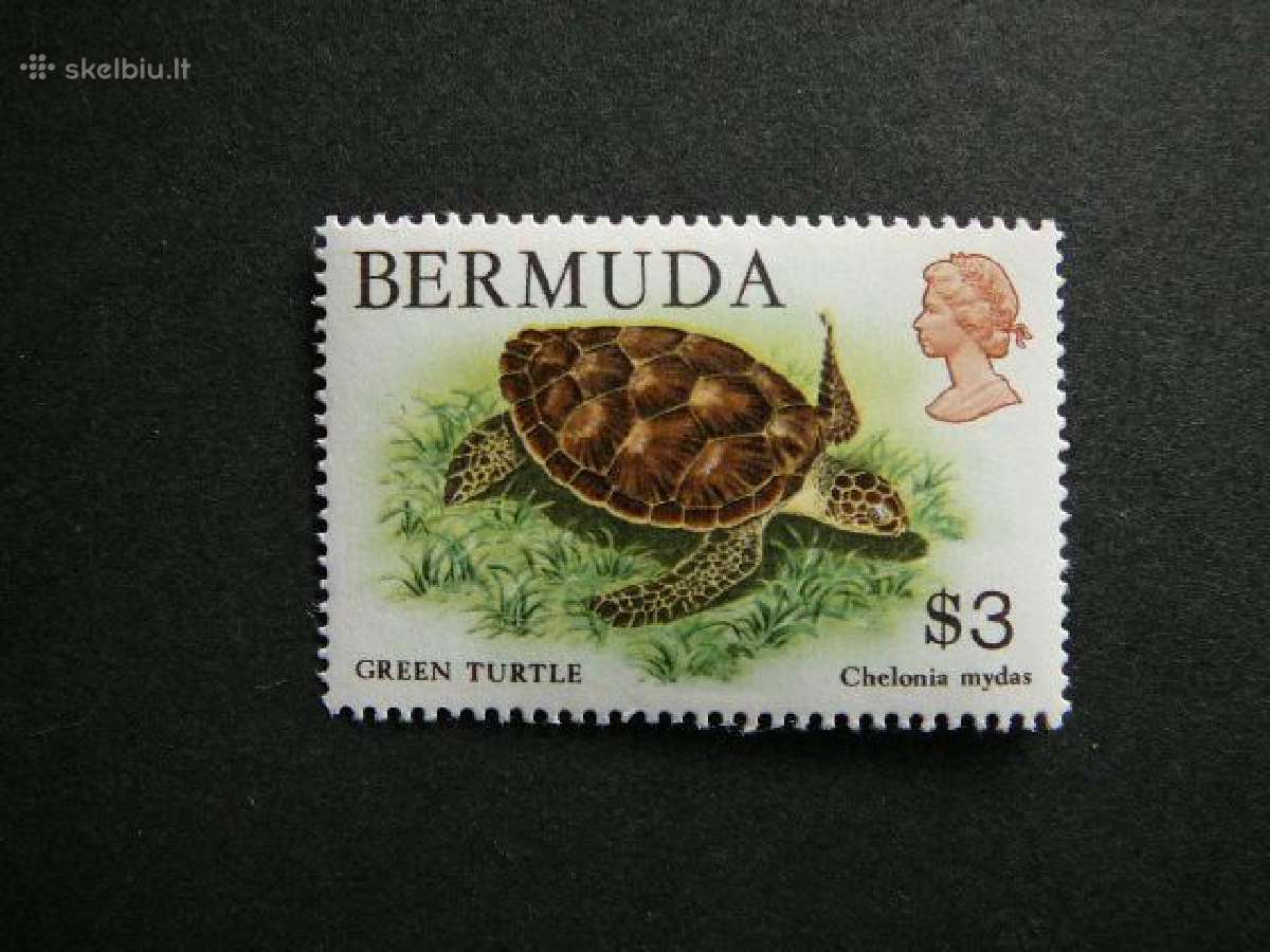 Vezliai Bermudai 1986 svarus bd19