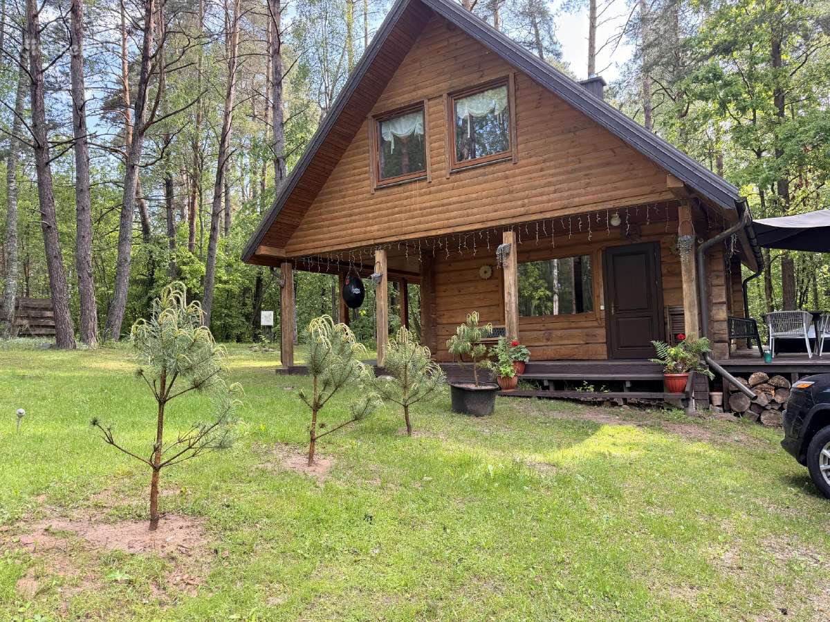 Vienkiemis miške, nuosava ežero pakrantė 5-7 žm. - nuotraukos Nr. 19