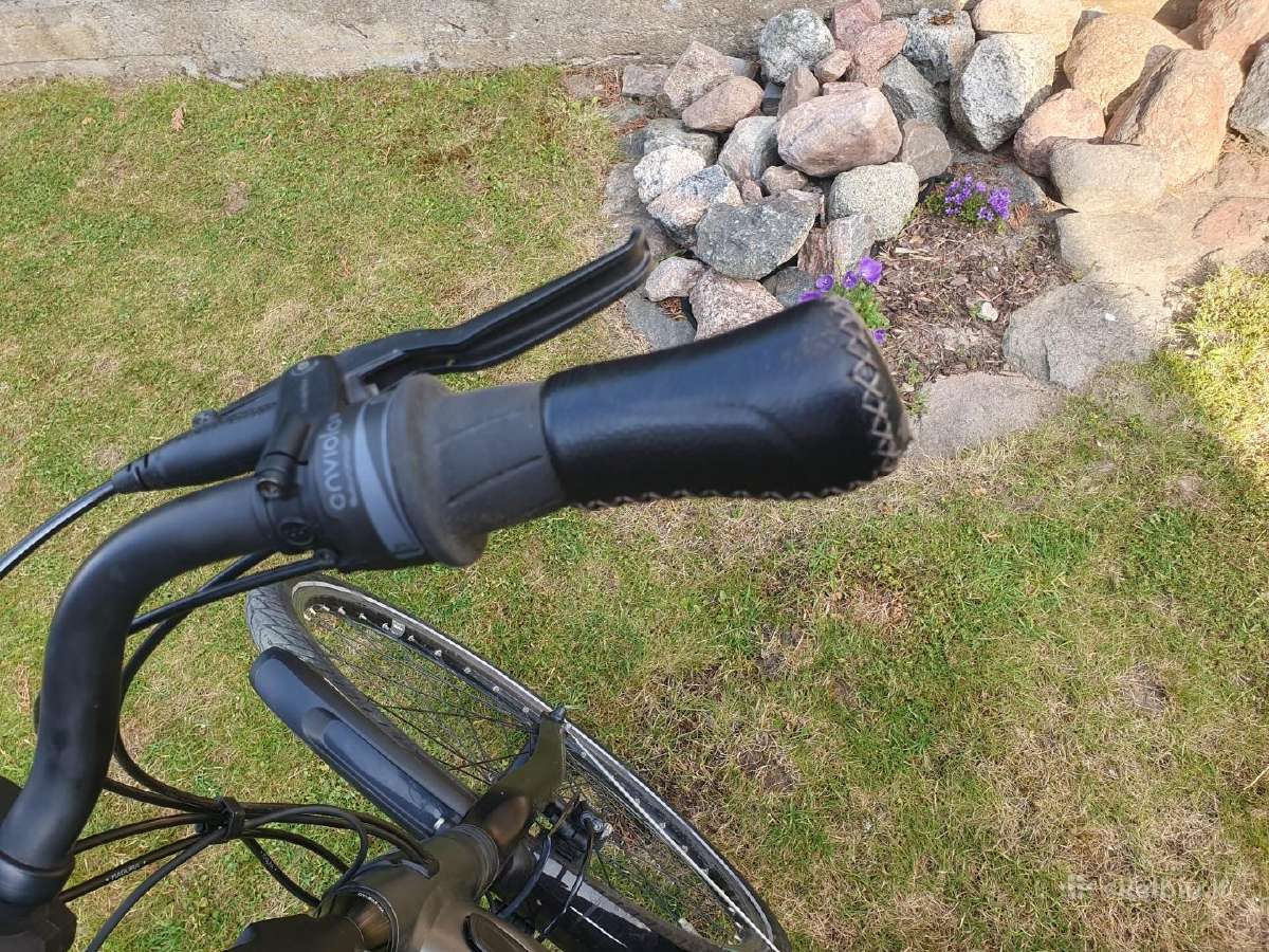 Gazelle Ultimate ebike Rrp - nuotraukos Nr. 11